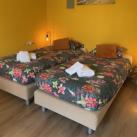 Aparthotel Plato By Hofstad