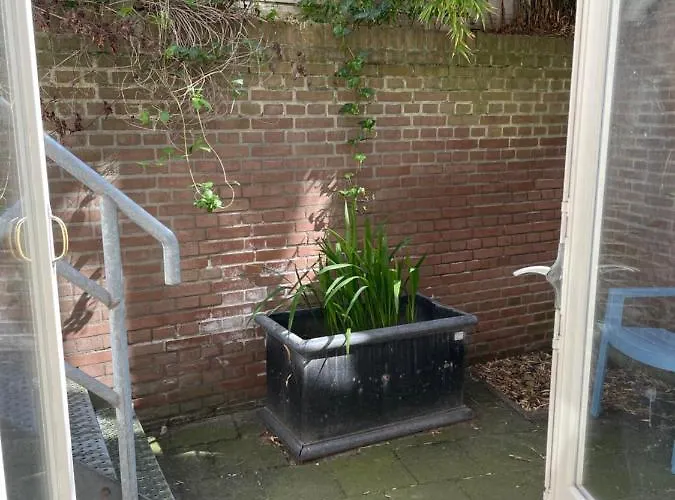 Plato By Hofstad Studio's 4* Hága