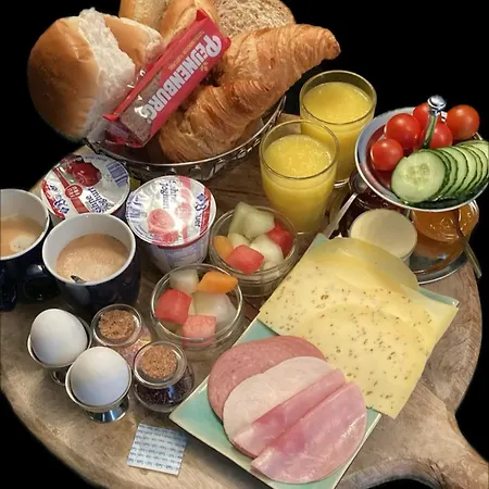 Lejlighedshotel Plato By Hofstad Studio's