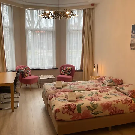 Plato By Hofstad Studio's 4*